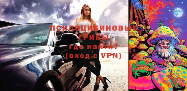 ALPHA PVP Бердск