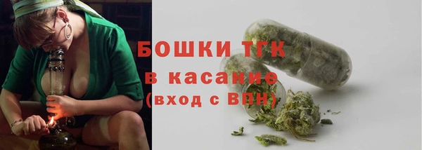 соль ск Артём