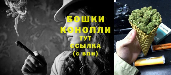 ALPHA PVP Бердск