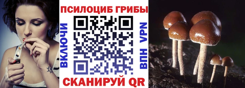 Псилоцибиновые грибы мухоморы Туран