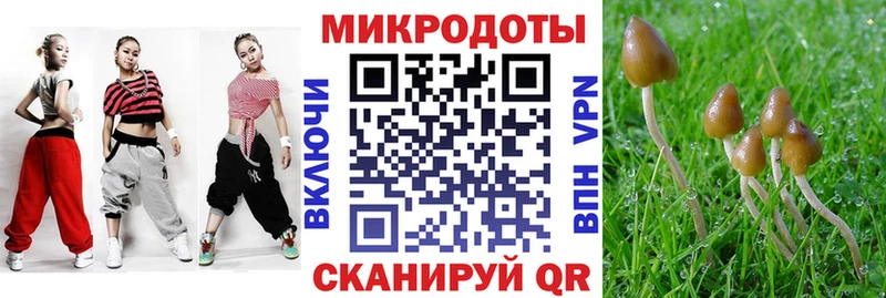 Купить где  Туран  Галлюциногенные грибы Psilocybine cubensis 